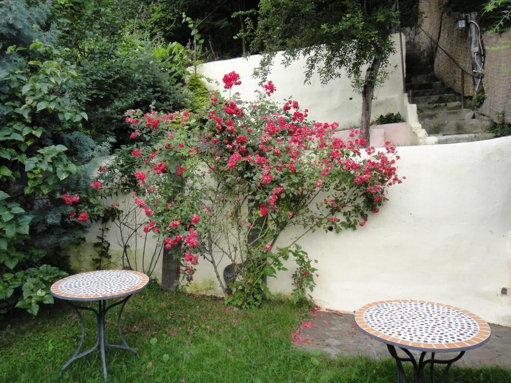 Dominic Boutique Apartment Sighisoara Bilik gambar